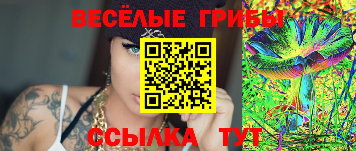 Псилоцибиновые грибы Cubensis  как найти закладки  Можга  Галлюциногенные грибы прущие грибы  Вход с VPN 