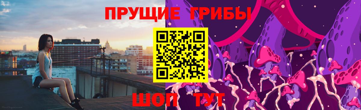 Псилоцибиновые грибы Psilocybe Можга